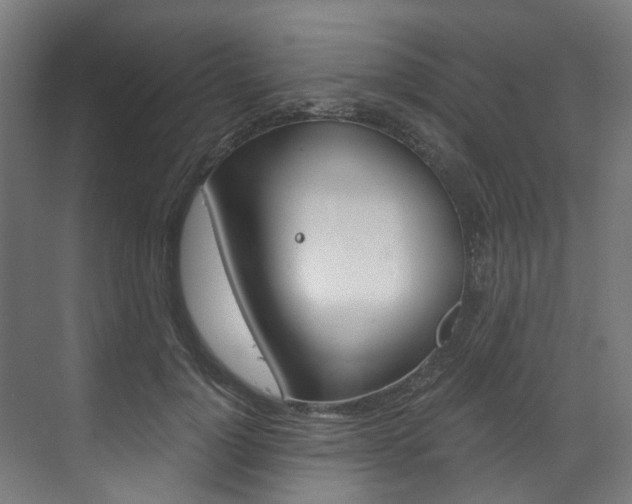 X0000073490748200607310916