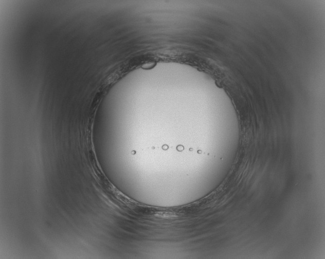 X0000073490749200607310916
