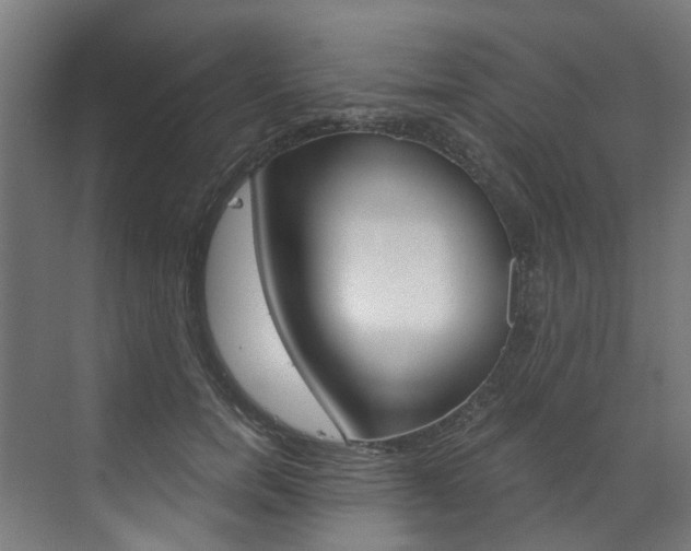 X0000073490750200607310916