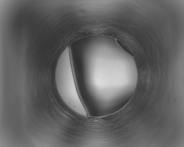 X0000073490752200607310916