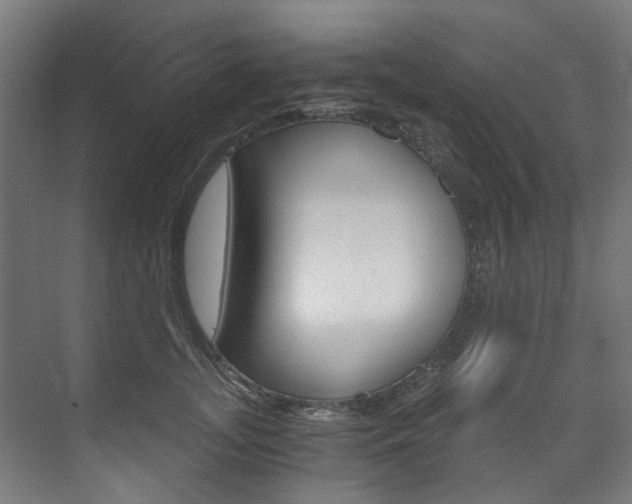 X0000073490755200607310916