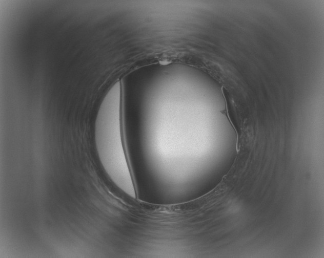 X0000073490756200607310916
