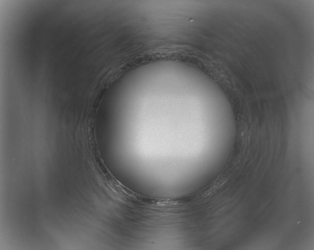 X0000073490758200607310916