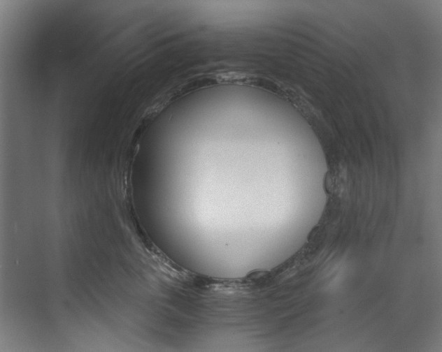X0000073490763200607310917