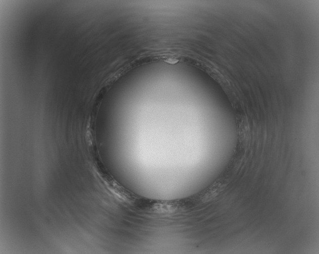 X0000073490764200607310917