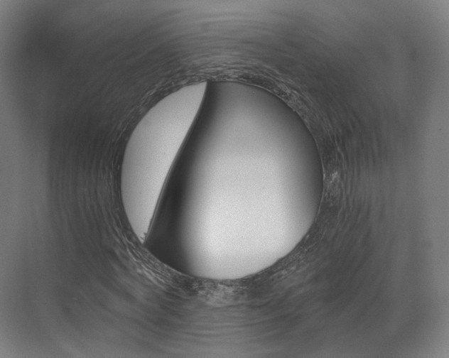 X0000073490772200607310916