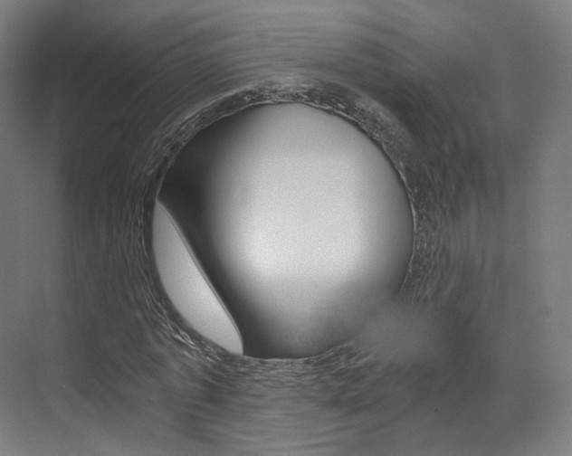 X0000073490773200607310916