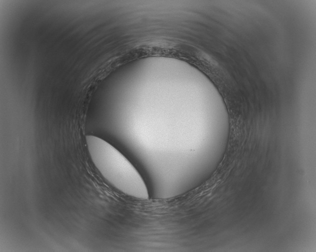 X0000073490774200607310916