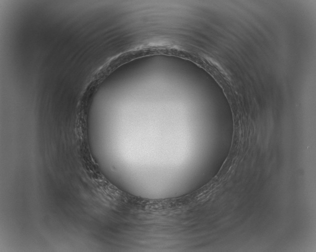 X0000073490776200607310916
