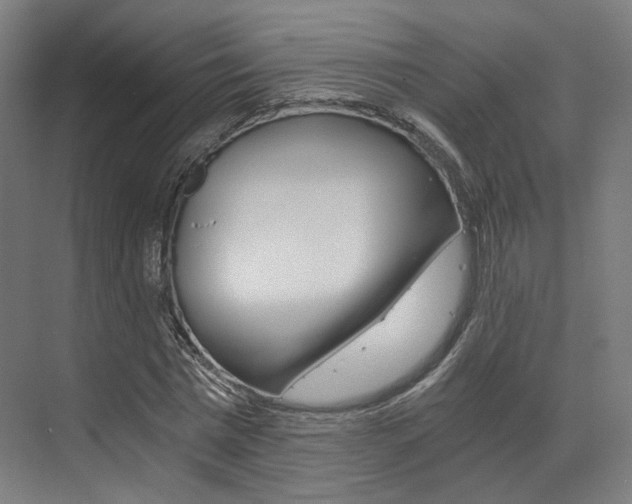 X0000073490777200607310916