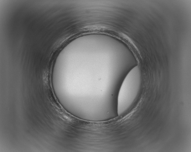 X0000073490778200607310916