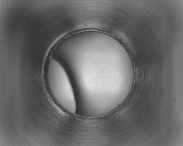 X0000073490780200607310916