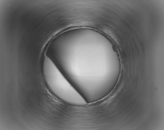 X0000073490781200607310916