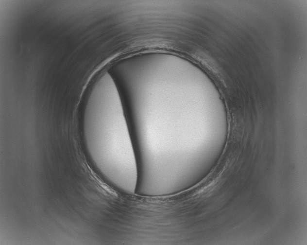 X0000073490782200607310916