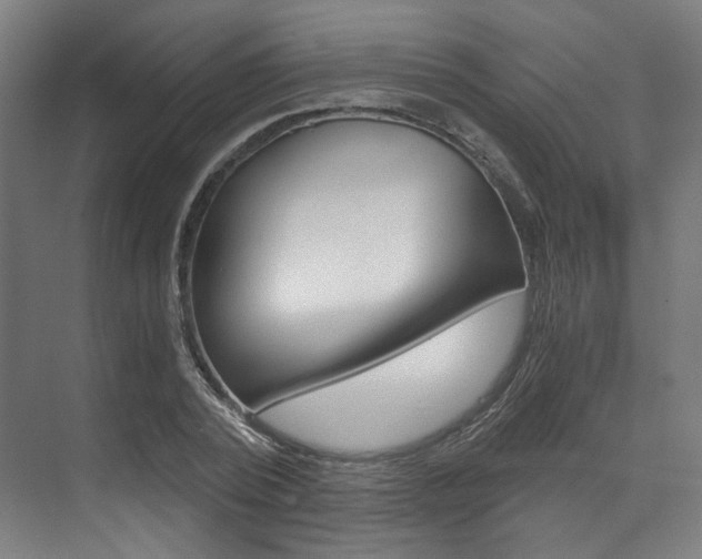 X0000073490784200607310916
