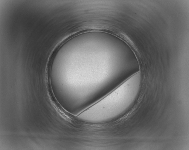 X0000073490787200607310915