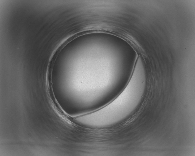 X0000073490788200607310915
