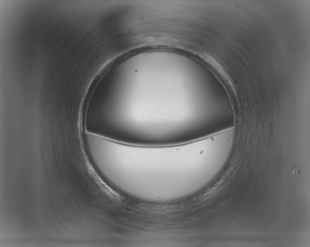 X0000073490791200607310915