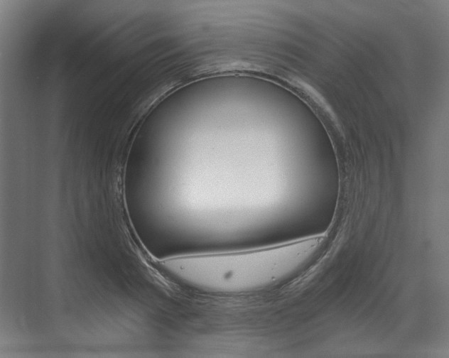 X0000073490793200607310915