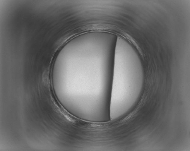 X0000073490794200607310915