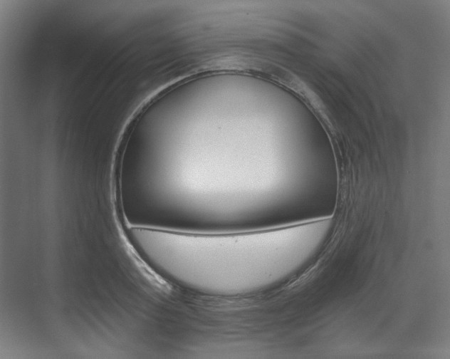 X0000073490795200607310915