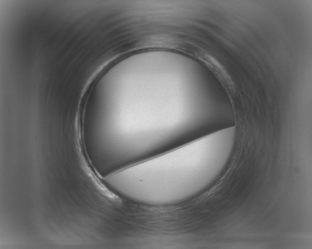 X0000073490796200607310915