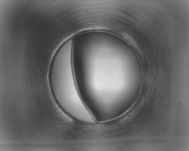 X0000073490797200607310915