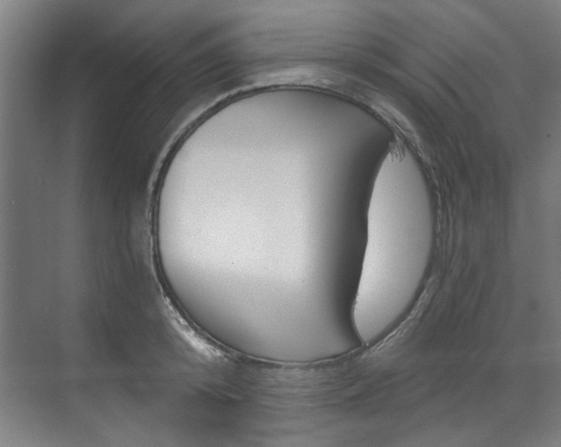 X0000073490800200607310915