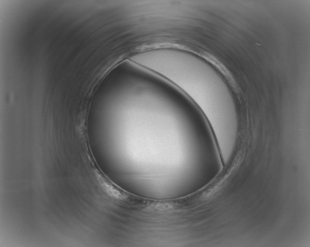 X0000073490801200607310915