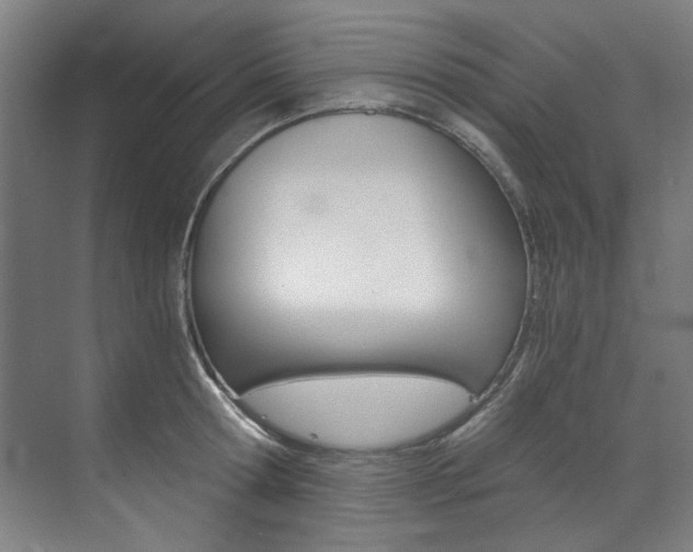 X0000073490802200607310915