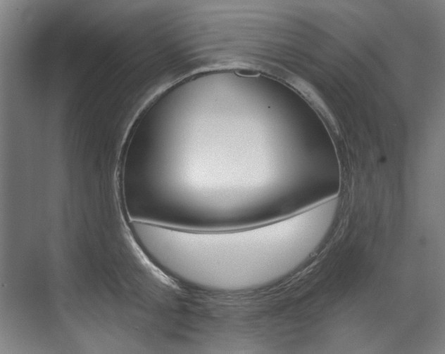 X0000073490805200607310915