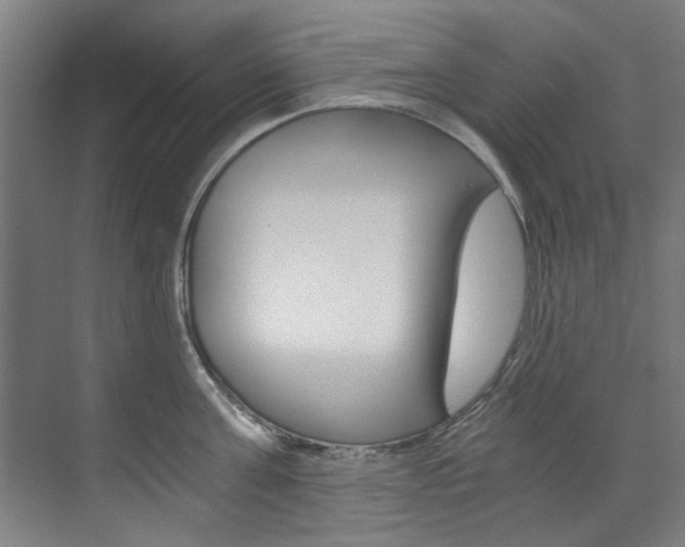 X0000073490811200607310915