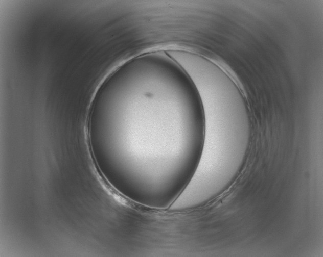 X0000073490813200607310915