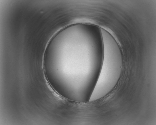 X0000073490815200607310915