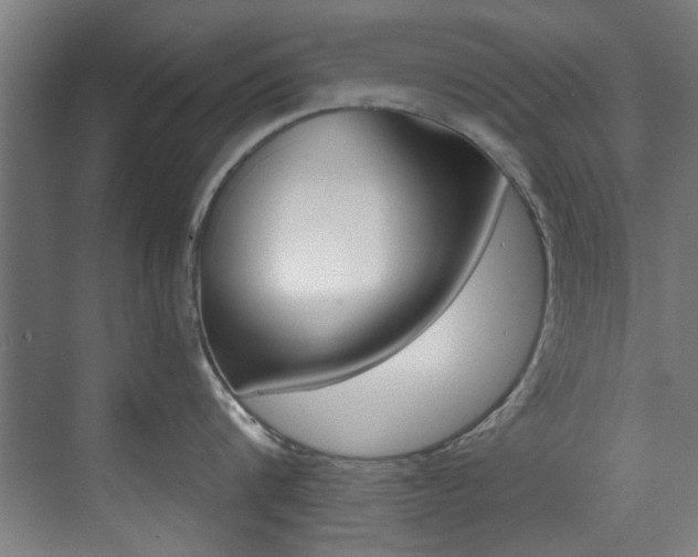 X0000073490816200607310915