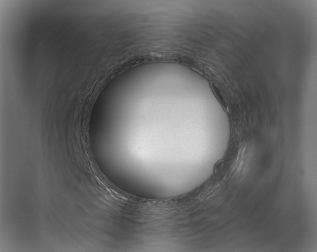 X0000073490817200607310914