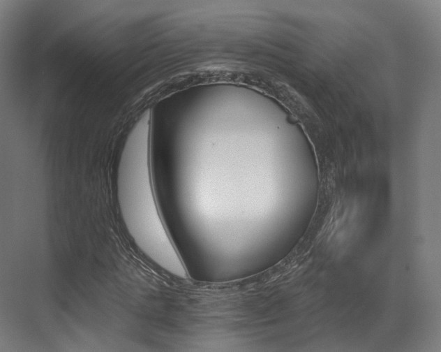 X0000073490821200607310914