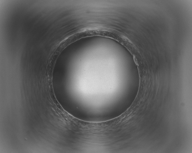X0000073490822200607310914