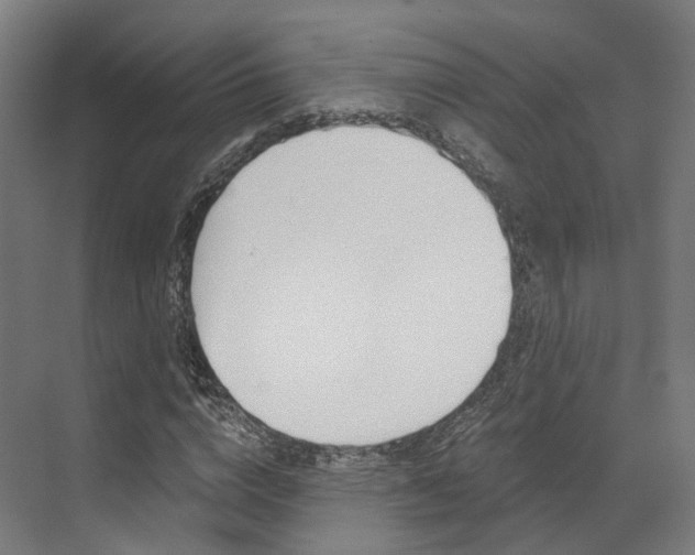 X0000073490824200607310914