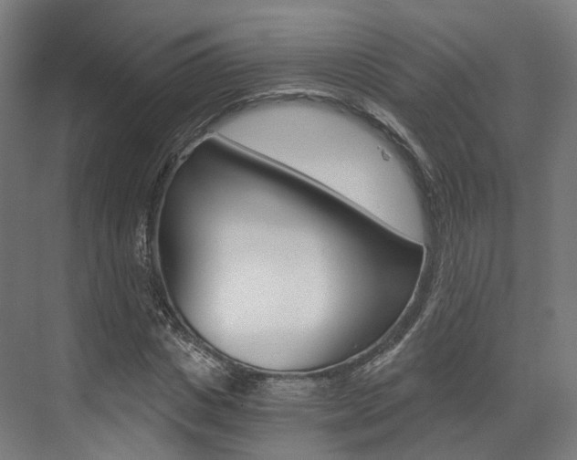 X0000073490825200607310914