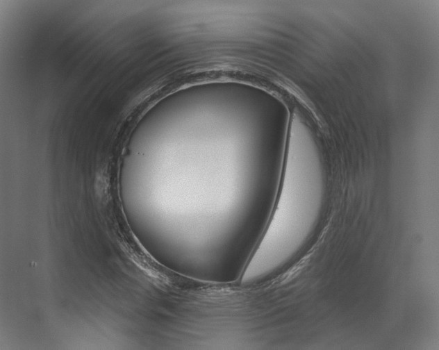 X0000073490826200607310914