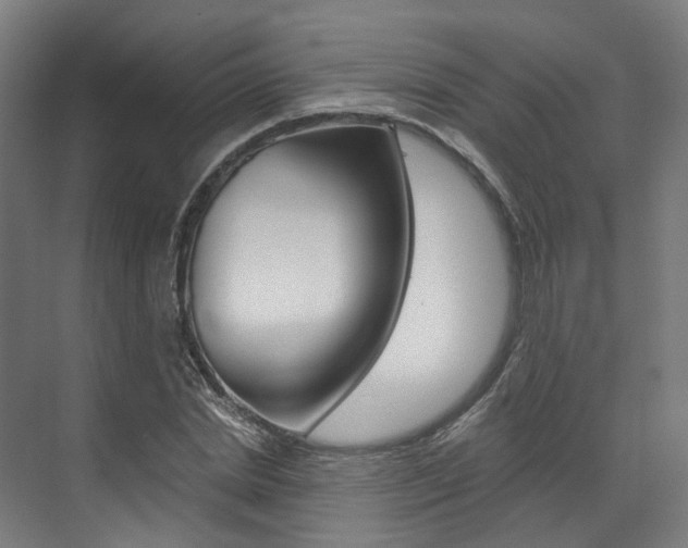 X0000073490830200607310914