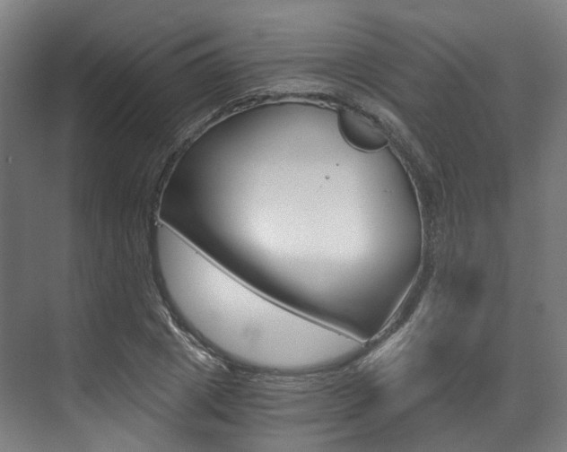 X0000073490833200607310914