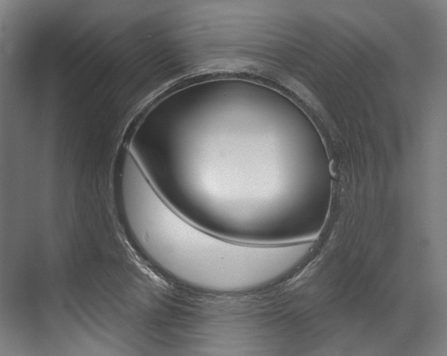 X0000073490834200607310914