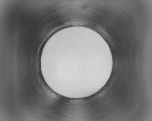 X0000073490836200607310915