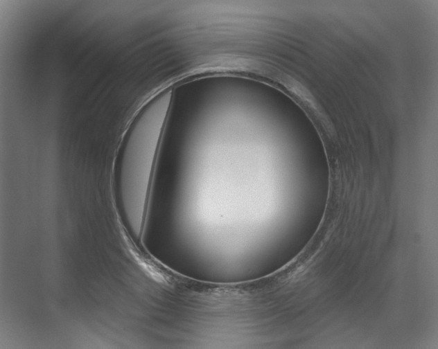 X0000073490842200607310915