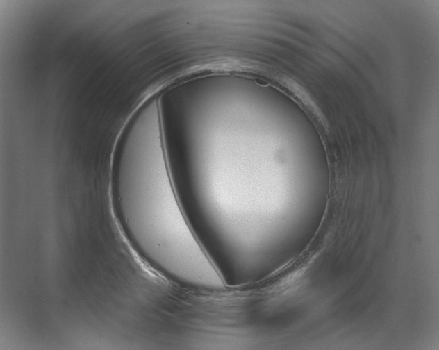 X0000073490845200607310915