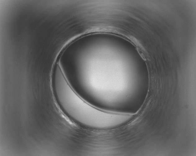 X0000073490846200607310915
