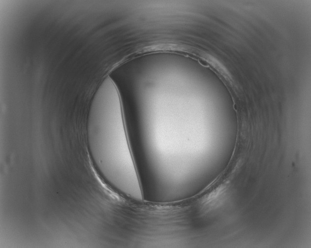 X0000073490849200607310915
