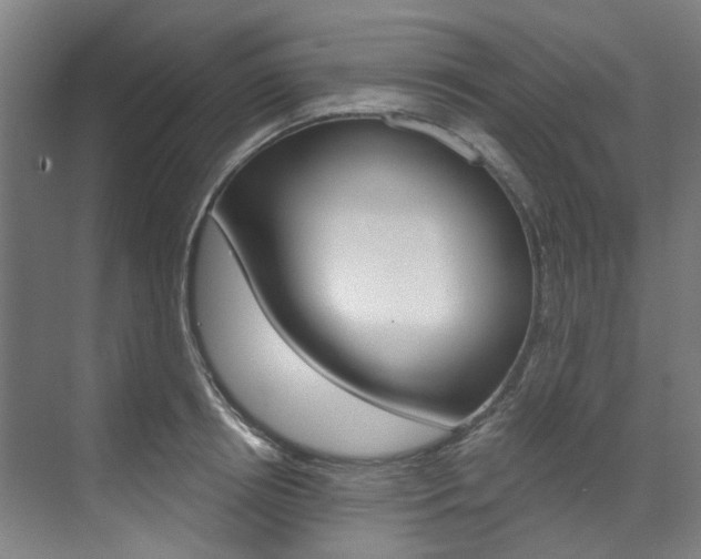 X0000073490850200607310915